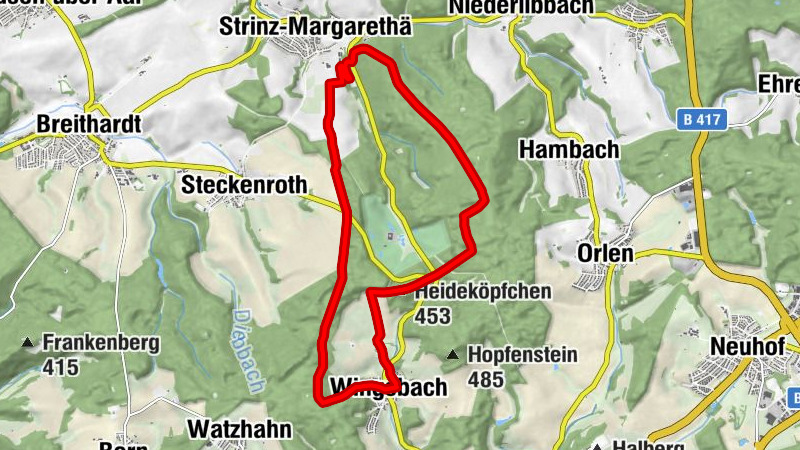 Wingsbach 4