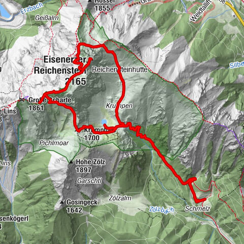 Immergrün auf steilem Berg - Eisenerzer Reichenstein ab Hirnalm - Eine Genusstour