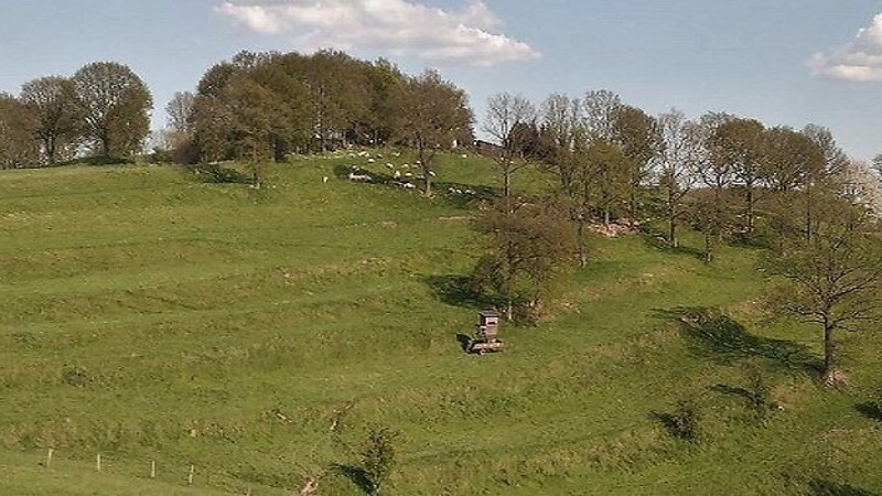 Kart