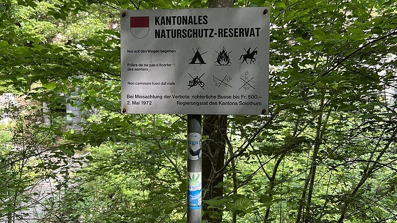 Kart