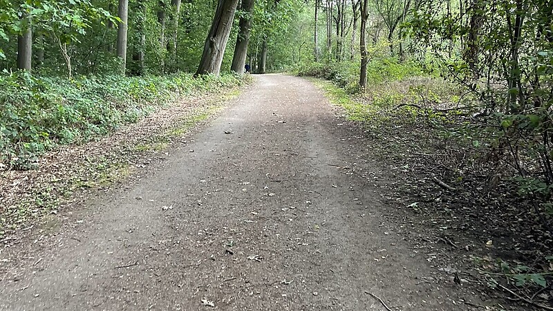 Kart