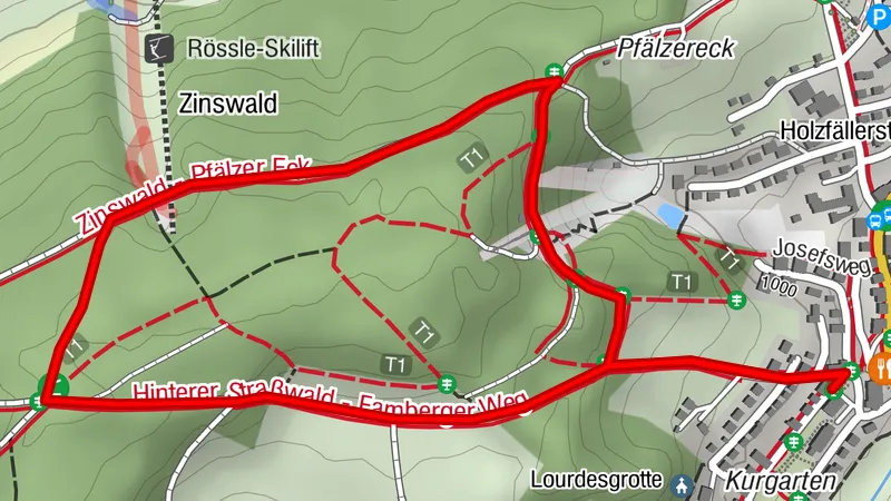 High altitude climate trail Schönwald "Zinswaldrunde No 1"