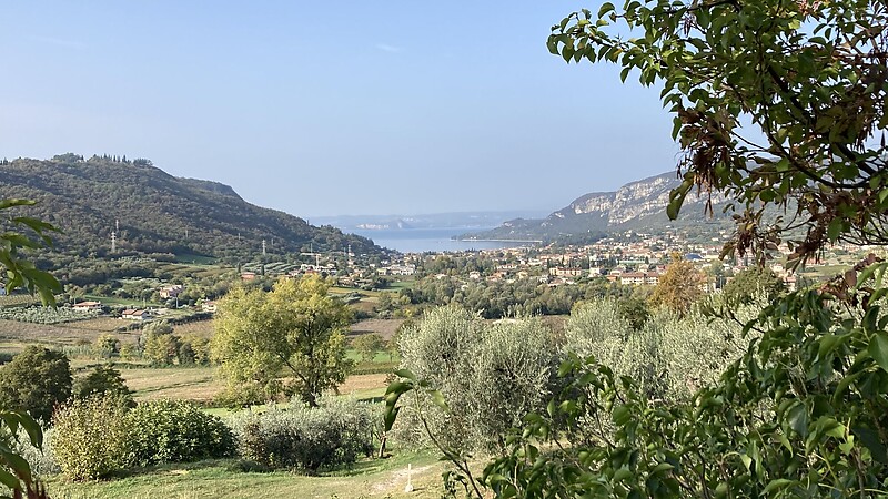 Kart