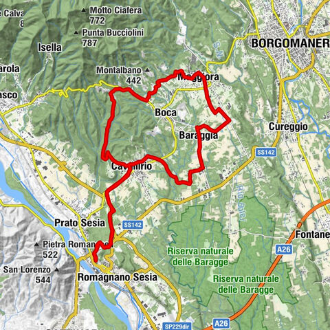 BicinVigna with Antonelli