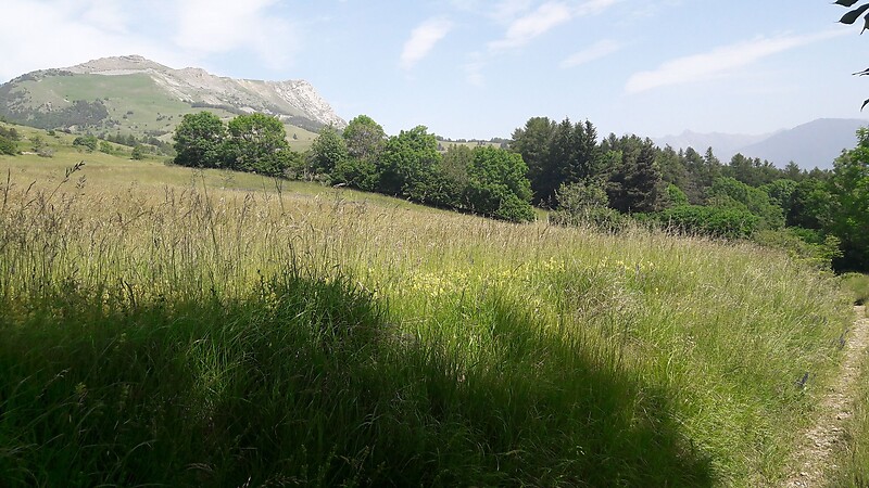 Kart