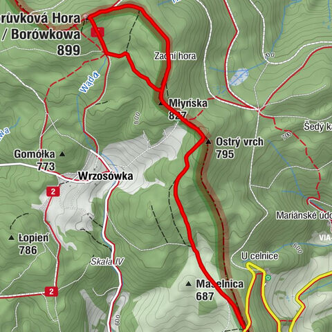 Przełęcz Lądecka / Landecké sedlo - Ostrý vrch - Borůvková Hora / Borówkowa - Młyńska