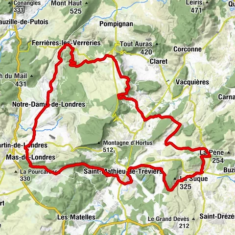TOUR ENTRE VIGNES ET CAUSSE - GR® DE PAYS TOURS EN GRAND PIC SAINT-LOUP
