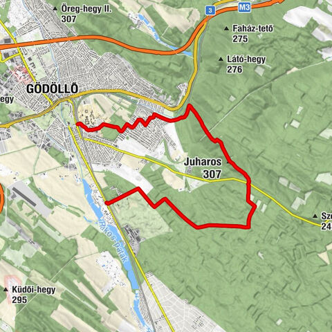 Gödöllő - Egyetem - Juharos