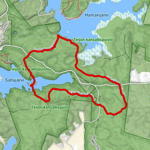 Salo - Hauenkuono