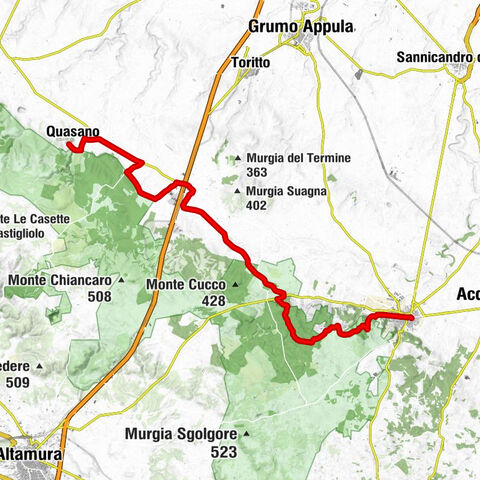 Quasano - La Selva di Diana - Il Tronco - Cassano delle Murge
