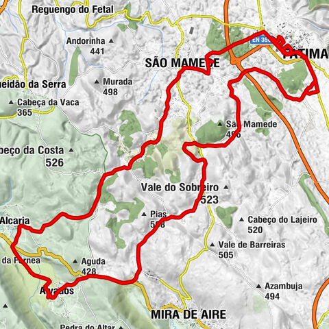 Igreja de Nossa Senhora da Consolação - Igreja Matriz de São Mamede - Igreja de Bouceiros - Alvados