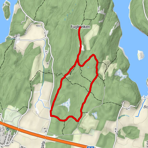 Råde - Fugleleiken