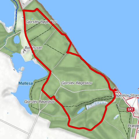 Traktørstedet Gjorslev Bøgeskov - Bøgebjerg