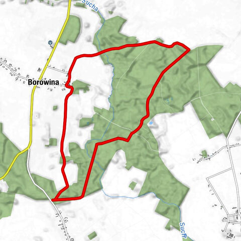 Długie - Rozdroże Długie - Borowina