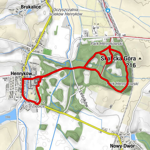 Henryków - Wniebowzięcia Najświętszej Maryi Panny