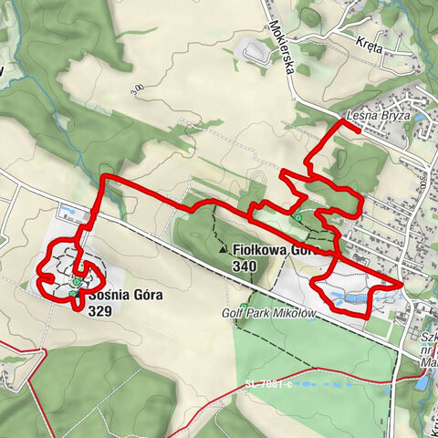 Mikołów - Sośnia Góra - Na grzyby