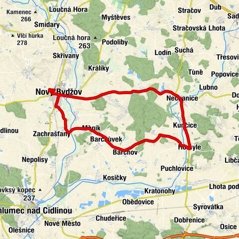 Nový Bydžov - kostel sv. Vavřince - Svatý Stanislav