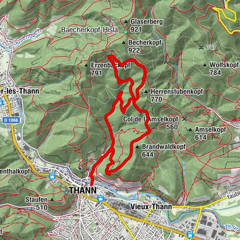 Route: the Pastetenplatz and the Wotan oak