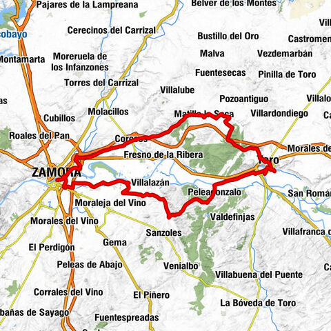 La Estación - Iglesia parroquial Nuestra Señora de la Asunción - Iglesia de San Lorenzo el Real - Toro