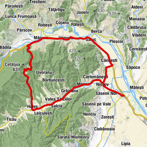 Vernești - Biserica ”Adormirea Maicii Domnului” - Biserica Mierea
