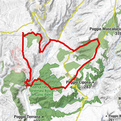 Caltagirone - Fontana del Cacciatore - Chiesa dei Santi Pietro e Paolo - Santo Pietro