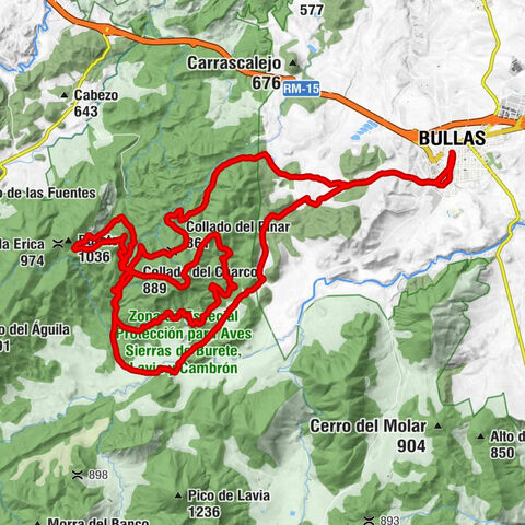 Bullas - Collado del Pinar - Collado del Charco - Collado Juan Cojos