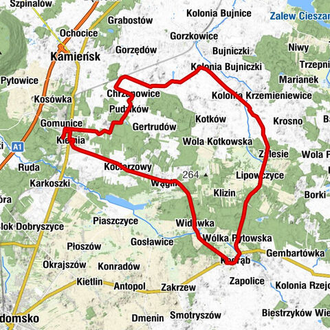 Gomunice - kościół filialny pw. św. Maksymiliana - Kościół pw. Świętej Jadwigi - kościół pw. św. Izydora Oracza