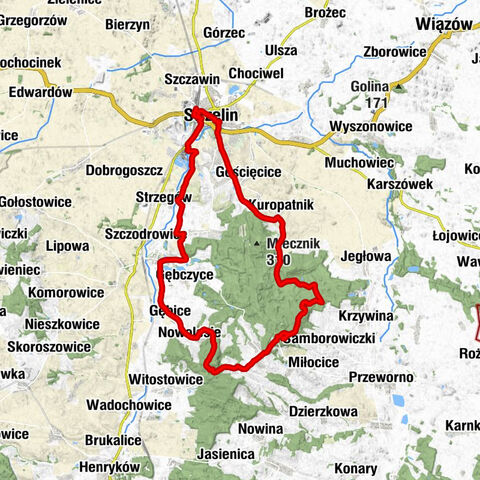Strzelin - Kościół Matki Chrystusa i św. Jana Apostoła i Ewangelisty - Gromnik - Kościół pw. św. Marcina