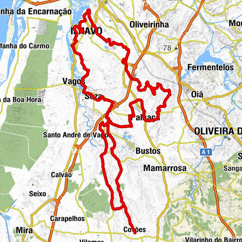 Igreja de Covões - Capela de Rio Tinto - Igreja Velha de Quintãs - Igreja de Vila Nova