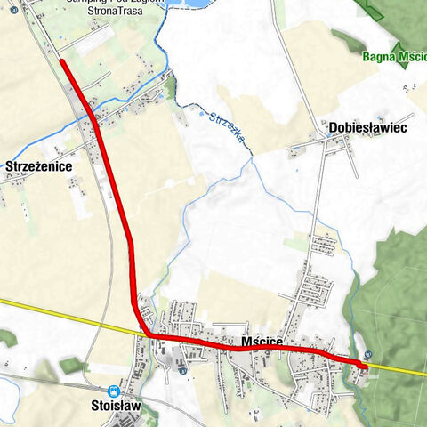 Mścice