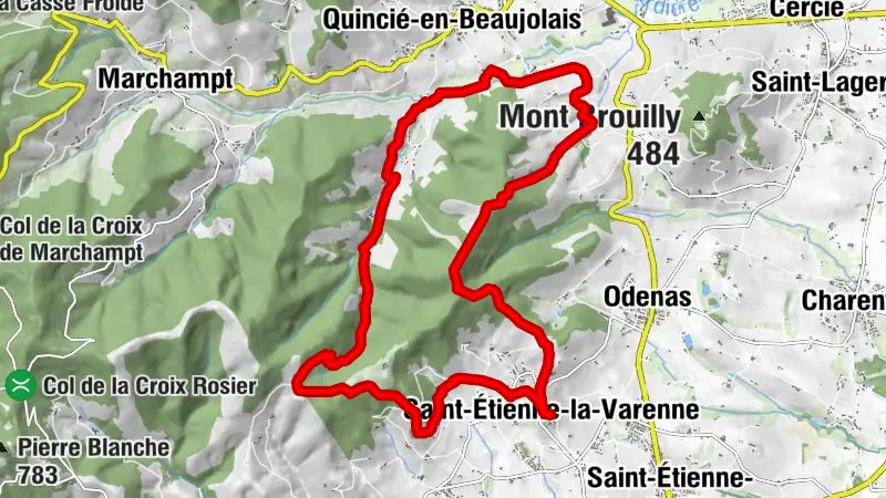 Nordic walking through the moors - Saint-Etienne-la-Varenne - Beaujolais