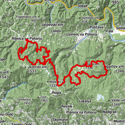 E-BIKE Black Peak: Rainforest Šumnik