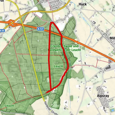 Wandern - Wald - (Er-) LEUCHT (ung) - rote Route
