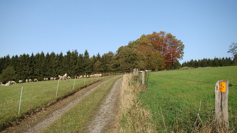 Kart