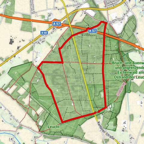 Wandern - Wald - (Er-) LEUCHT (ung) - grüne Route