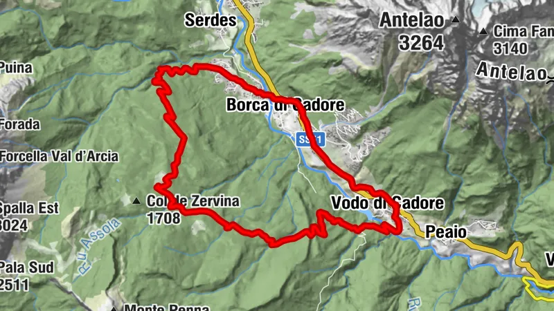 Ring Vodo - Malga Ciauta - Borca