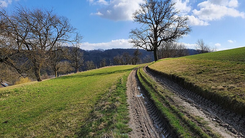 Kart