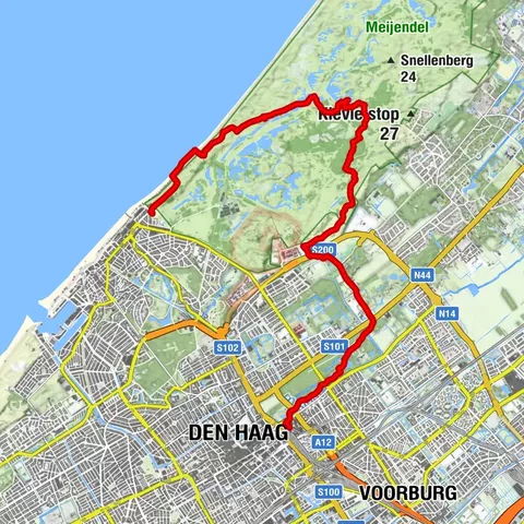 Meijendel > Haagse Bos
