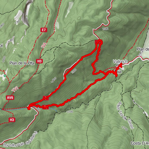 Pian del Cansiglio: Passeggiata nei dintorni di Vallorch